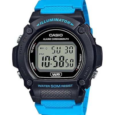 Casio W219H-2A2V Watch