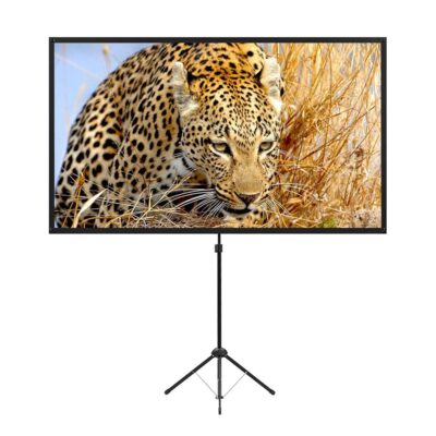 Portable Projector Screen with Stand, Outdoor Movie Screen, 80 Inch 16:9 Light-Weight, Mobile and Compact, Easy Setup and Carrying, Projection Screen with 1.2 Gain Glass Fiber,…